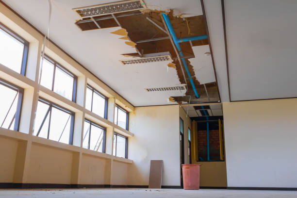Best Fire Damage Restoration  in Ecorse, MI