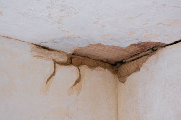 Best Flooded house restoration  in Ecorse, MI