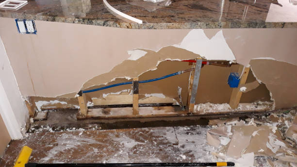 Best Basement water damage restoration  in Ecorse, MI