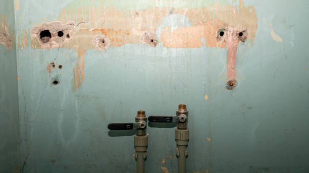 Best Mold removal after water damage  in Ecorse, MI