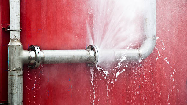 Best Water damage restoration near me  in Ecorse, MI